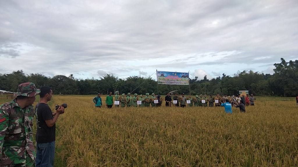 PANEN KOMPI PRODUKSI DALAM RANGKA MENDUKUNG KETAHANAN PANGAN NASIONAL KODIM 0115 SIMEULUE